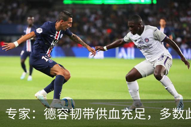 专家：德容韧带供血充足，多数此类损伤无需手术