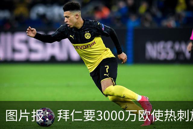 图片报：拜仁要3000万欧使热刺放弃帕利尼亚，但现在很难卖掉他