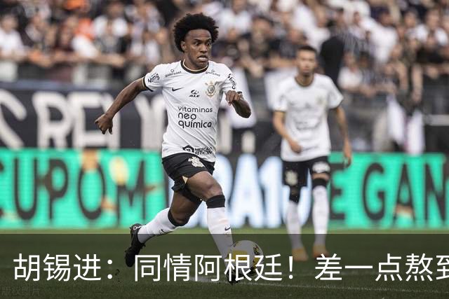 胡锡进：同情阿根廷！差一点熬到点球 国足缺席是世界杯最大遗憾